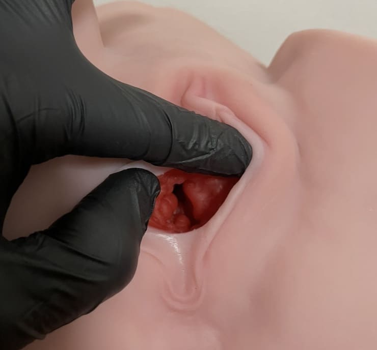 真 2穴 極上生腰 山岸逢花の陰部の作り綺麗すぎ