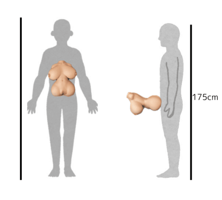 Tsukika（ツキカ）7.5kgサイズ比較