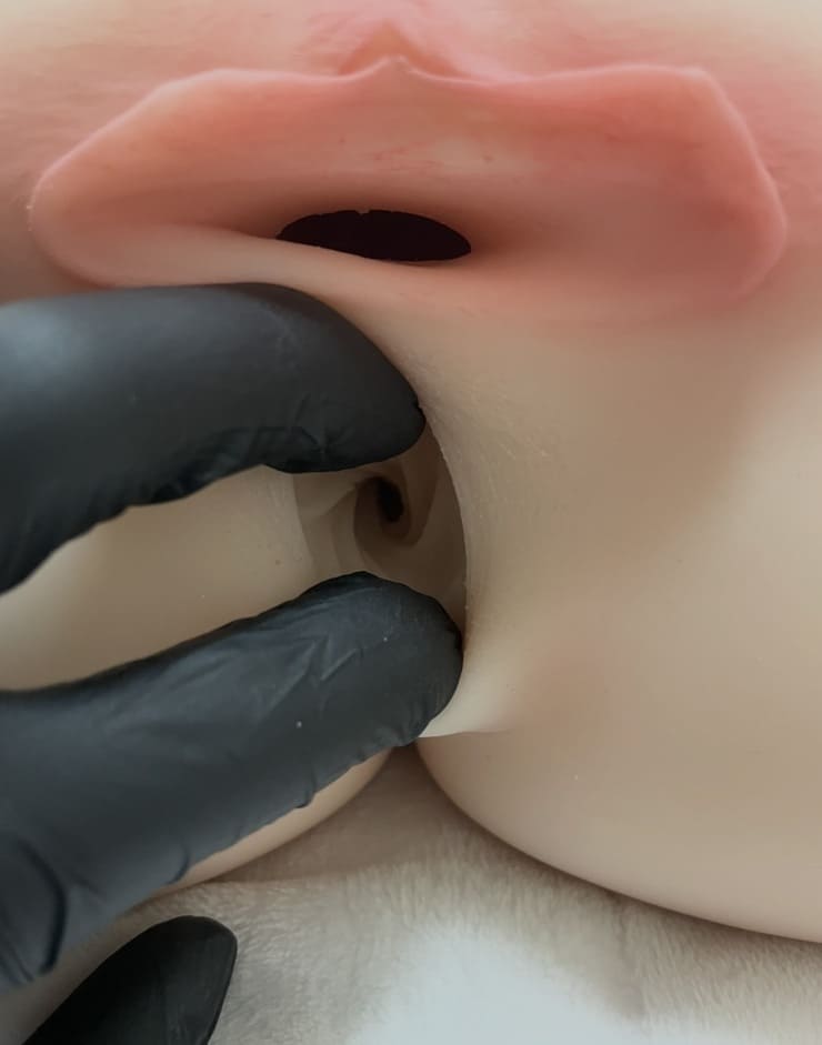 Shedoll ラブドール 70cm 21kgアナル内部構造