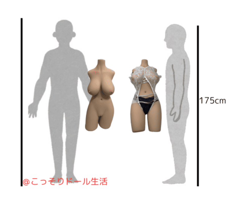 Shedoll ラブドール 70cm 21kg等身大比較