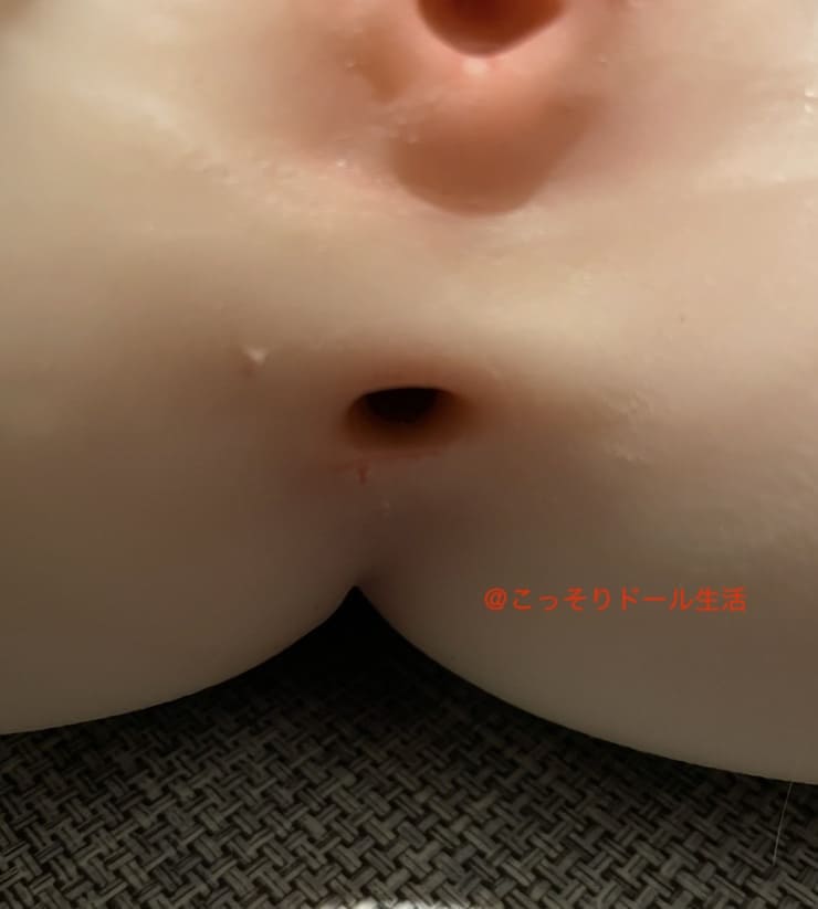 9.5kg【極リアル肌質】高品質TPE製 トルソードールのデメリット ヴァギナ・アナルともに造形が安っぽい