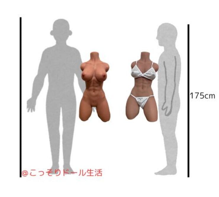 【筋肉ライン×柔肌】健身款リアルボディ 64.5cm 等身大比較