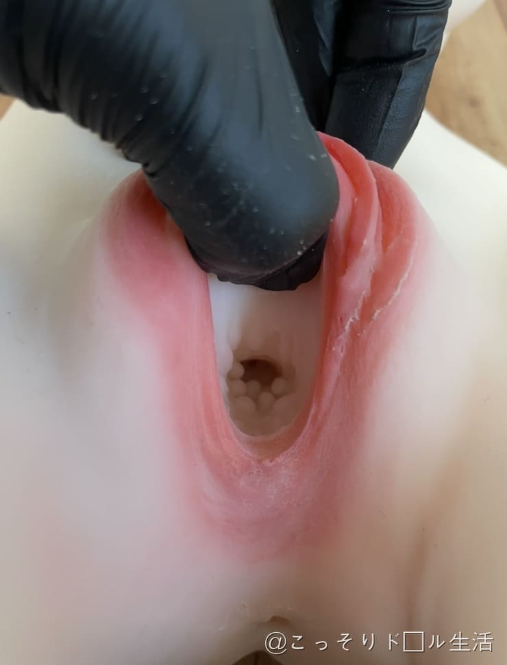 お姉さんの発情期ボディ、オナホール 据置型 オナホ 大型 重量8.8kg 骨格仕様 おなほーる ヴァギナ内部構造