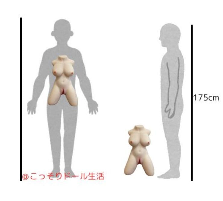 お姉さんの発情期ボディ、オナホール 据置型 オナホ 大型 重量8.8kg 骨格仕様 おなほーる 