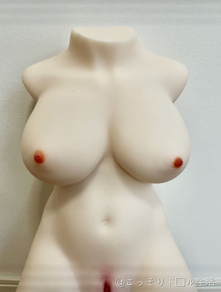 お姉さんの発情期ボディ、オナホール 据置型 オナホ 大型 重量8.8kg 骨格仕様 おなほーる 