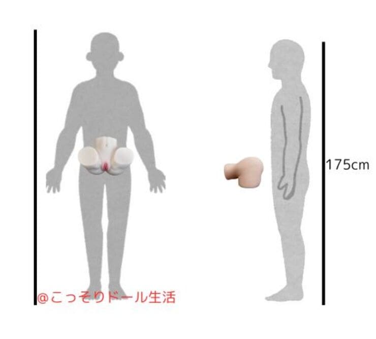 美咲姉さんのご褒美ヒップ 実物レビュー据置型オナホール 88cm でか尻サイズ比較