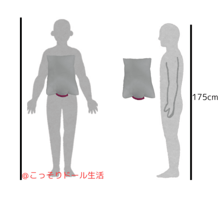 Tama Toys インサートクッション・成人男性と比較