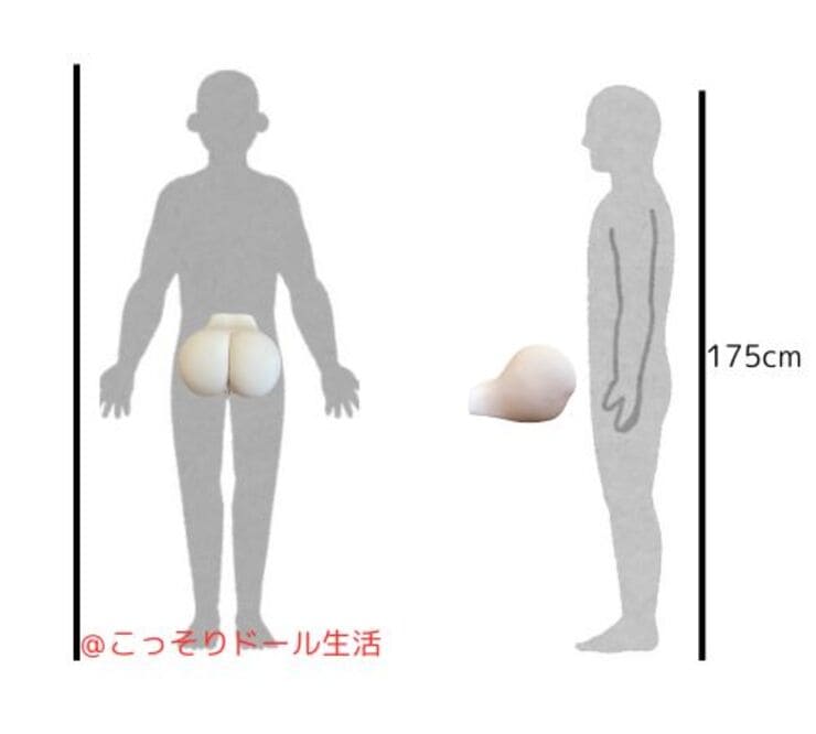 4代目 日暮里版 真性 極上生腰 橋本ありな　等身大サイズ比較