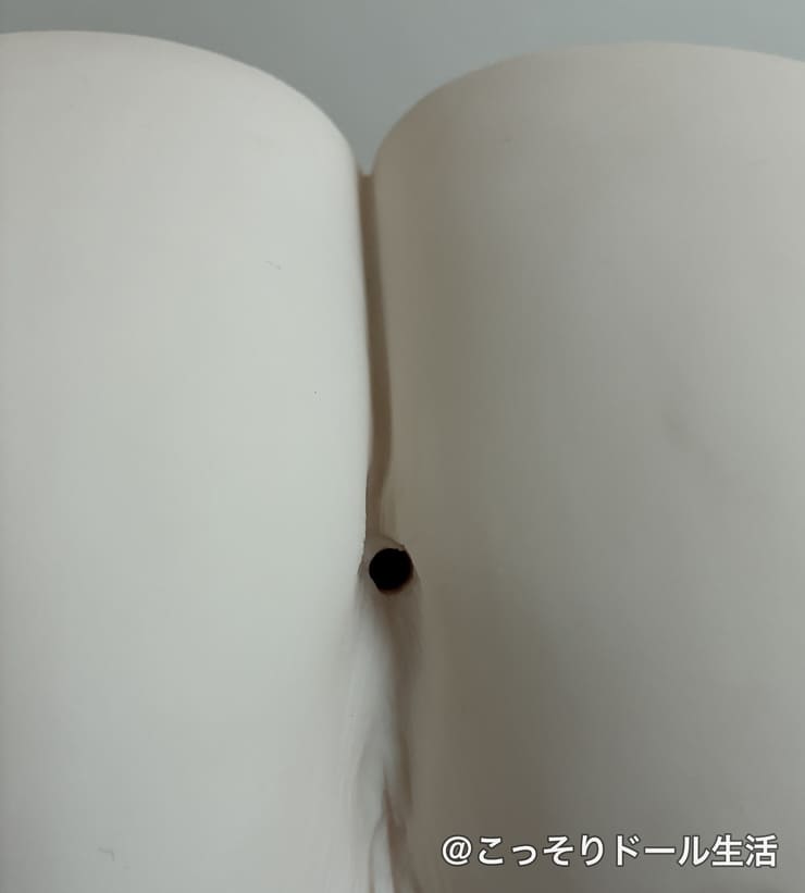 4代目 日暮里版 真性 極上生腰 橋本ありなのアナル外観・使用感