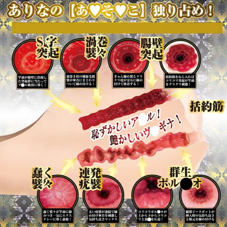 4代目 日暮里版 真性 極上生腰 橋本ありな　ホールの外観・使用感